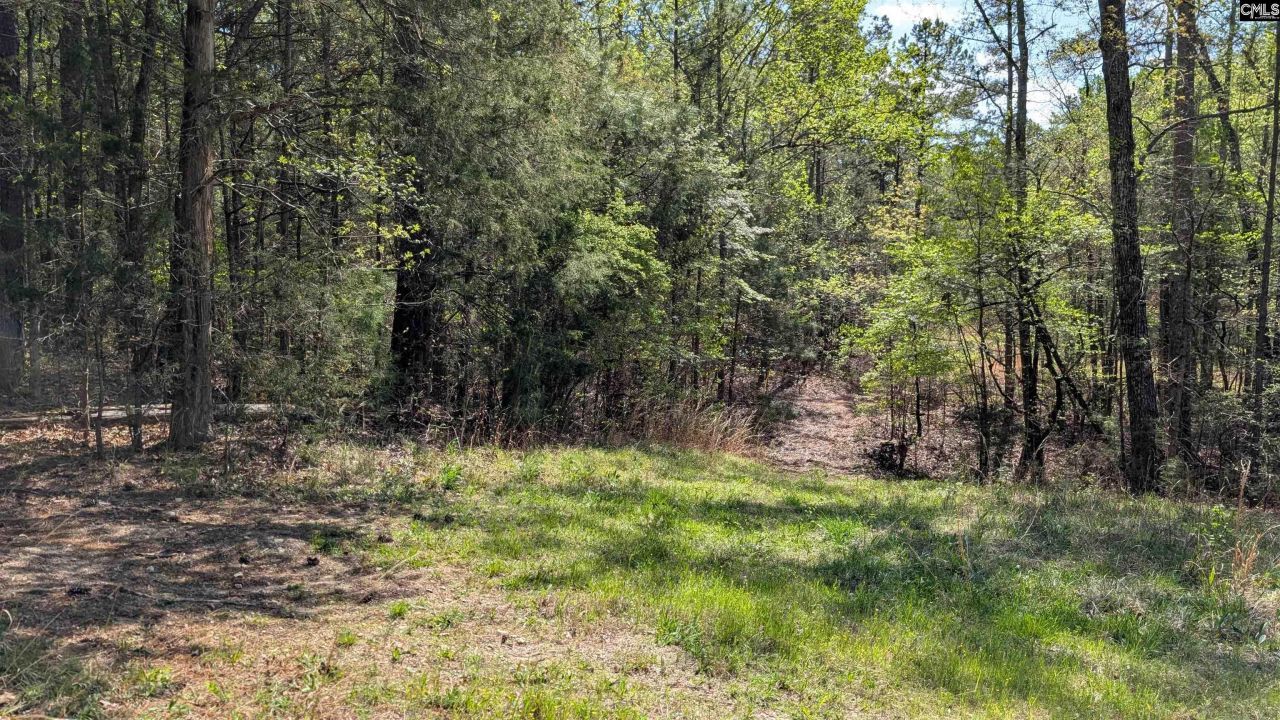 Tbd Boyd Road Photo 25