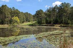 Tbd Boyd Road photo 4