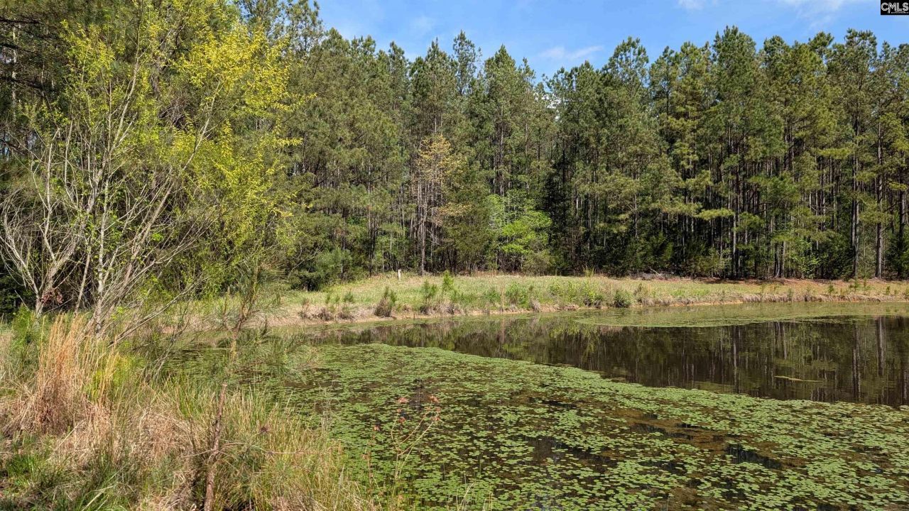 Tbd Boyd Road Photo 8