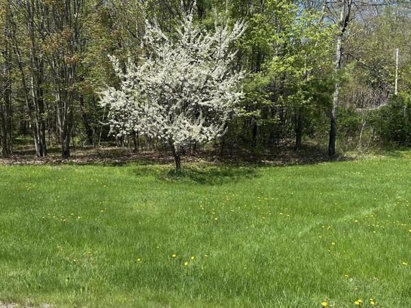 1 Katie Crotch Road, Embden, ME 04958