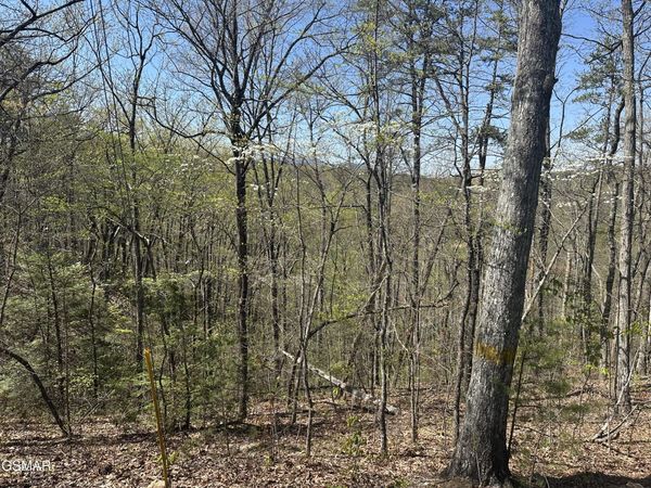 1532 Mountain Dreams Way Way, Pigeon Forge, TN 37862