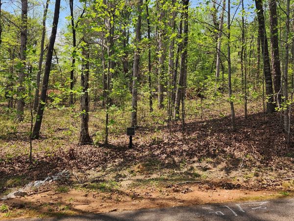 86 Edgewater Trail S, Toccoa, GA 30577