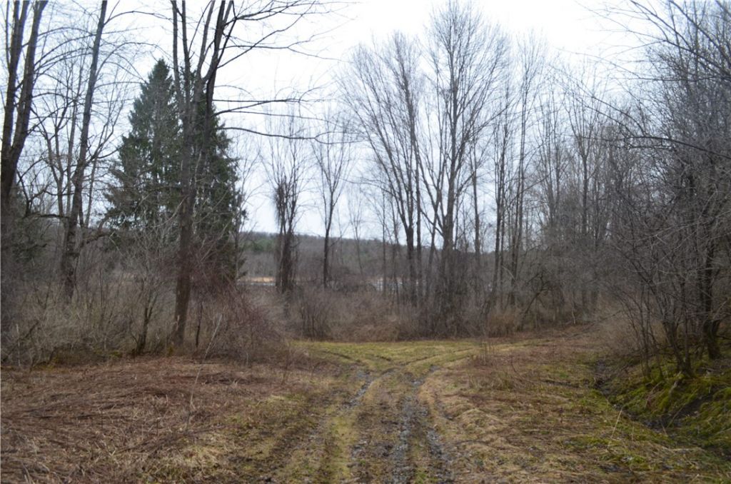 1377 Vrolyk Road, Eaton, NY 13334 Main Photo