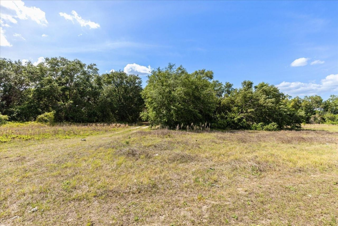 Tbd Independence Blvd, Lot #Lot 6, Groveland, FL 34736 Photo