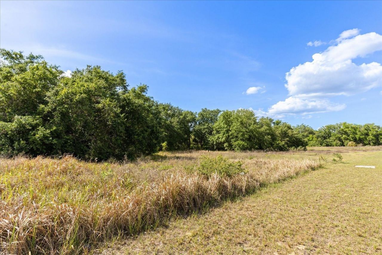 Tbd Independence Blvd, Lot #Lot 6, Groveland, FL 34736 Photo