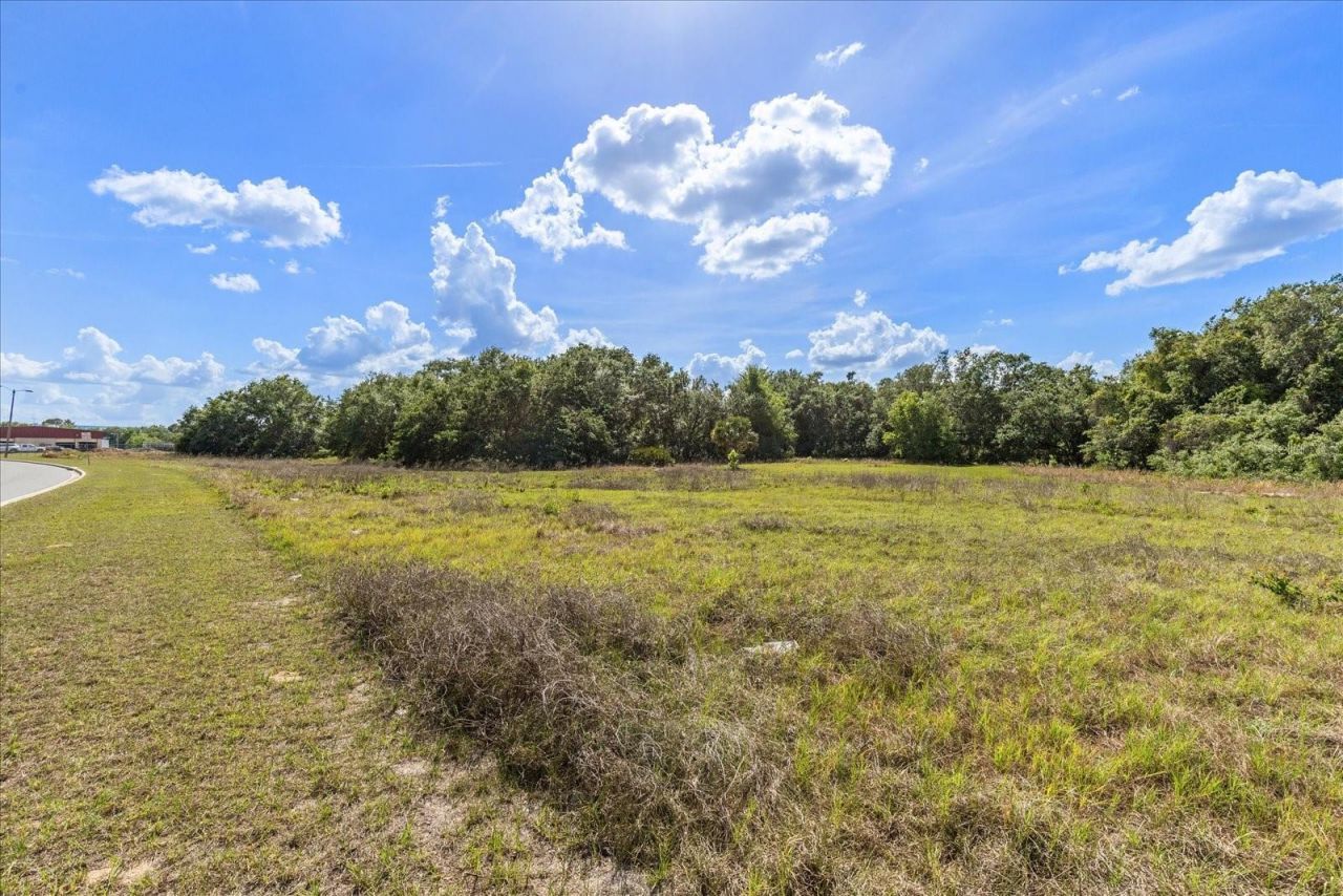 Tbd Independence Blvd, Lot #Lot 6, Groveland, FL 34736 Photo