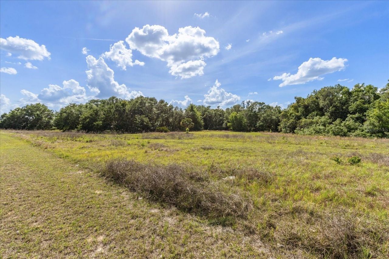 Tbd Independence Blvd, Lot #Lot 6, Groveland, FL 34736 Photo