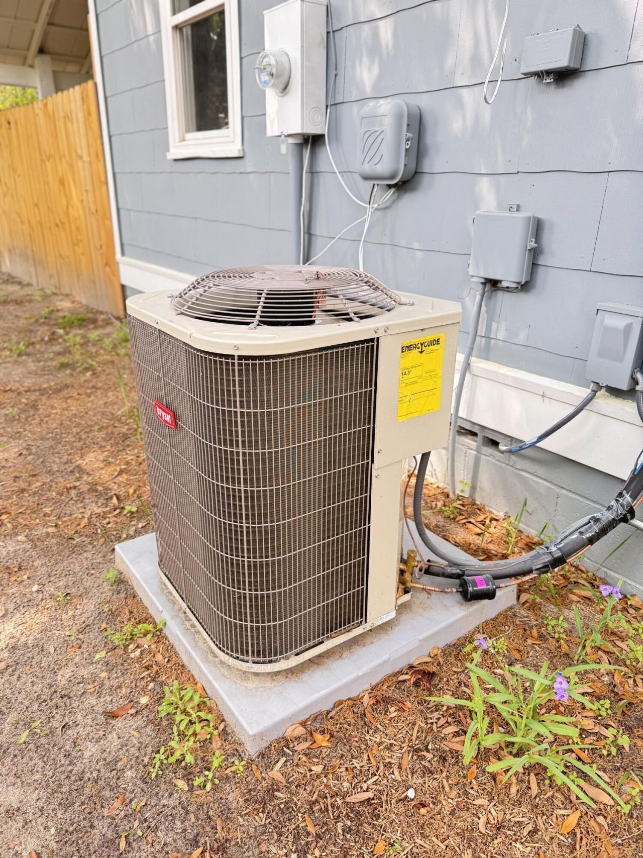 109 Alexander Street Photo 22