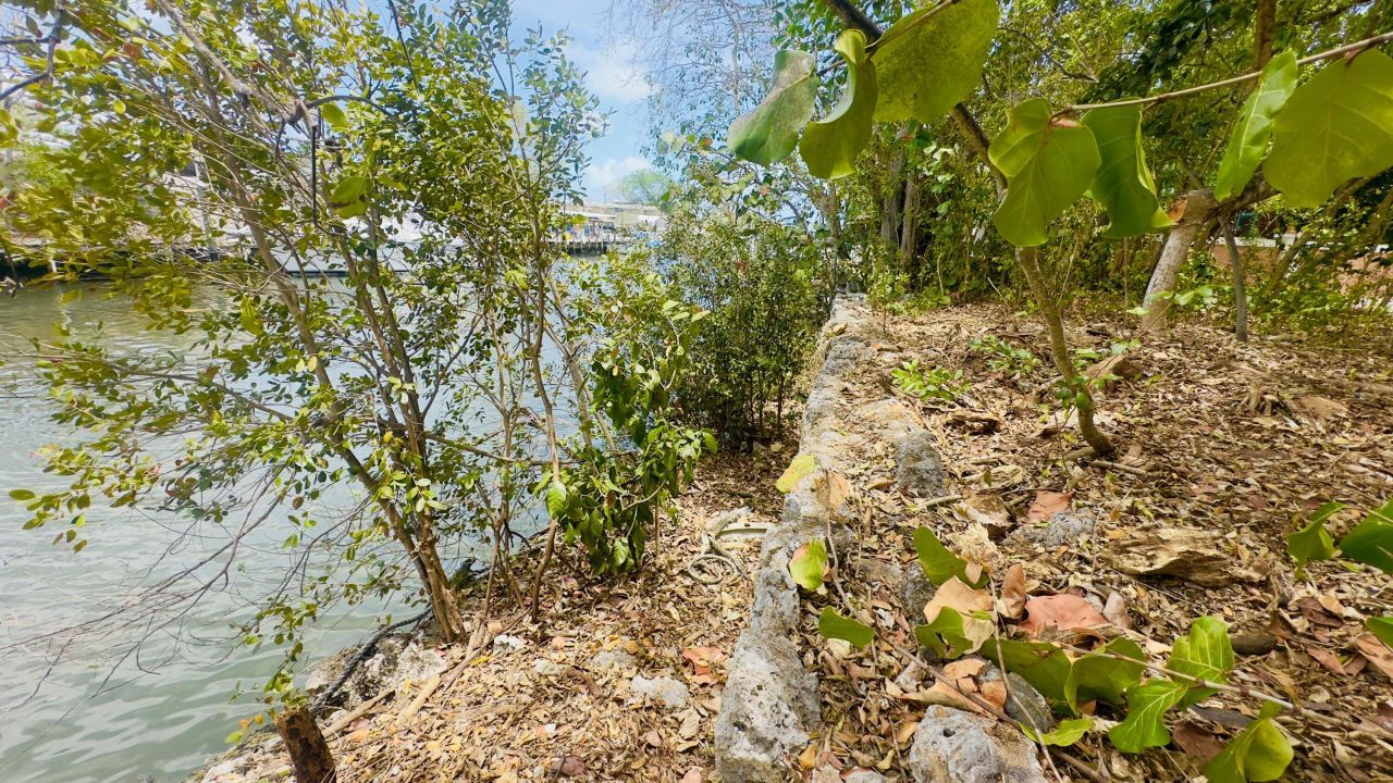 8 S Exuma Road, Key Largo, FL 33037 Photo