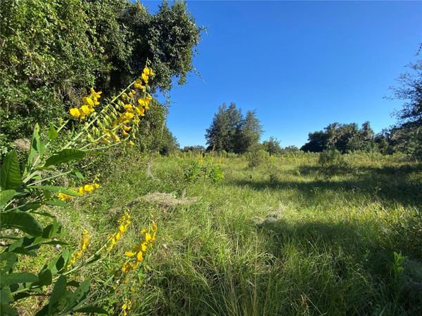 8701 S FRUITION AVENUE, FLORAL CITY, FL 34436