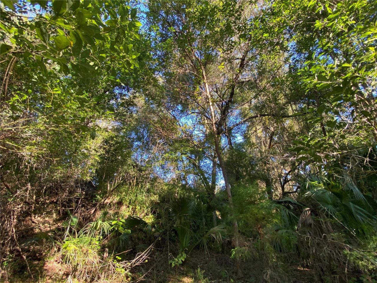8701 S Fruition Avenue, Floral City, FL 34436 Photo