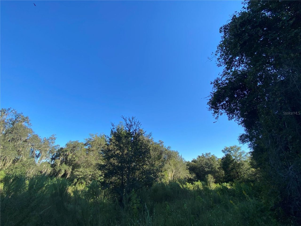 8701 S Fruition Avenue, Floral City, FL 34436 Photo