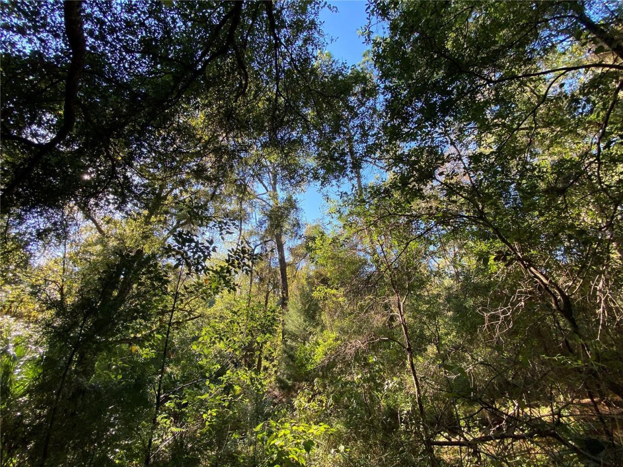 8701 S Fruition Avenue, Floral City, FL 34436 Photo