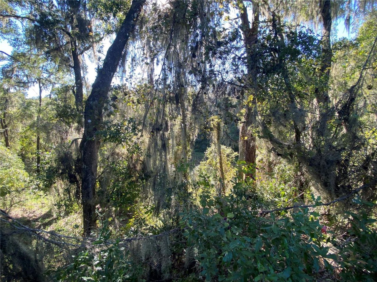 8701 S Fruition Avenue, Floral City, FL 34436 Photo