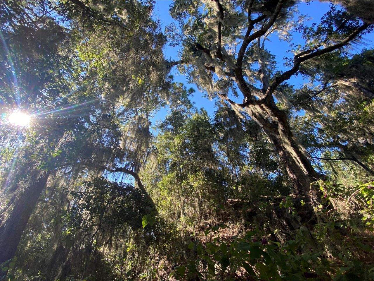 8701 S Fruition Avenue, Floral City, FL 34436 Photo