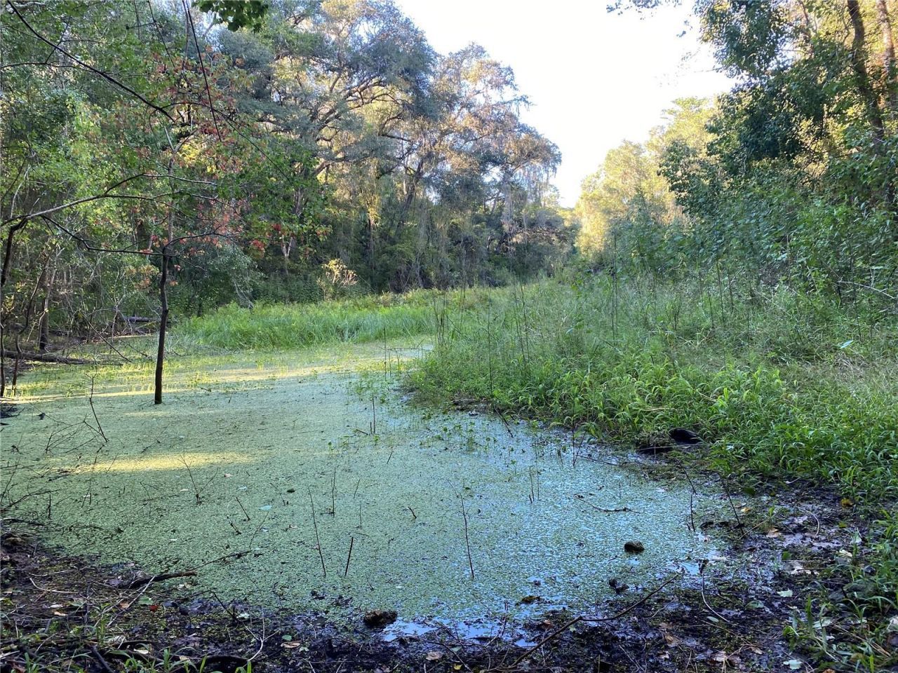 8701 S Fruition Avenue, Floral City, FL 34436 Photo