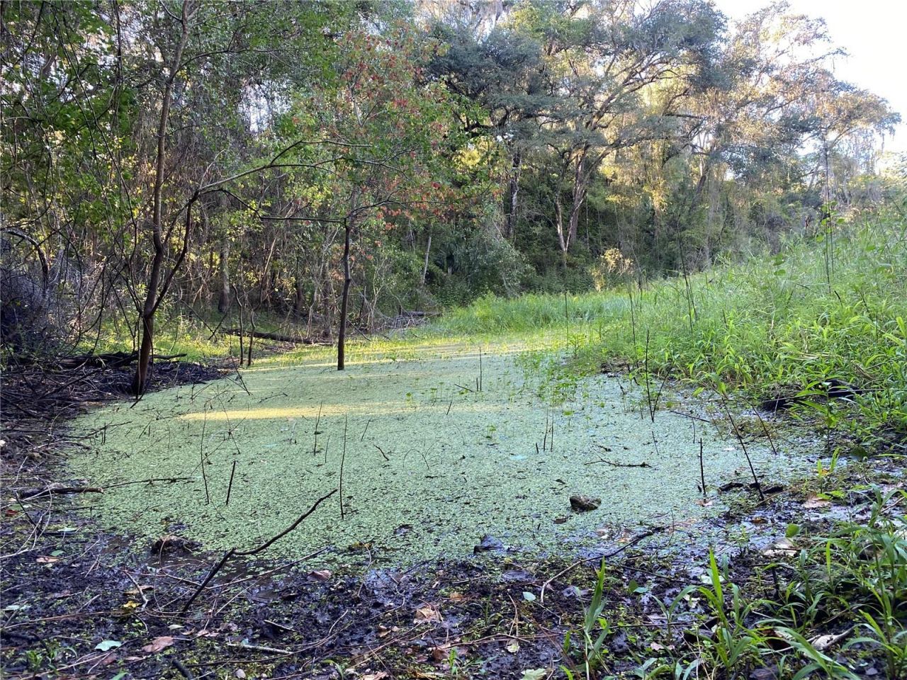 8701 S Fruition Avenue, Floral City, FL 34436 Photo