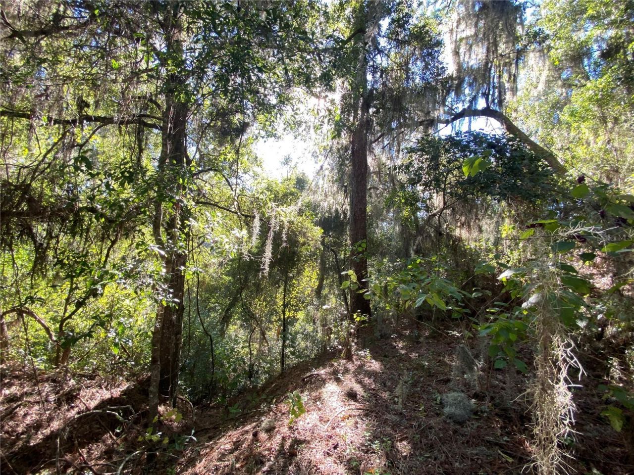 8701 S Fruition Avenue, Floral City, FL 34436 Photo