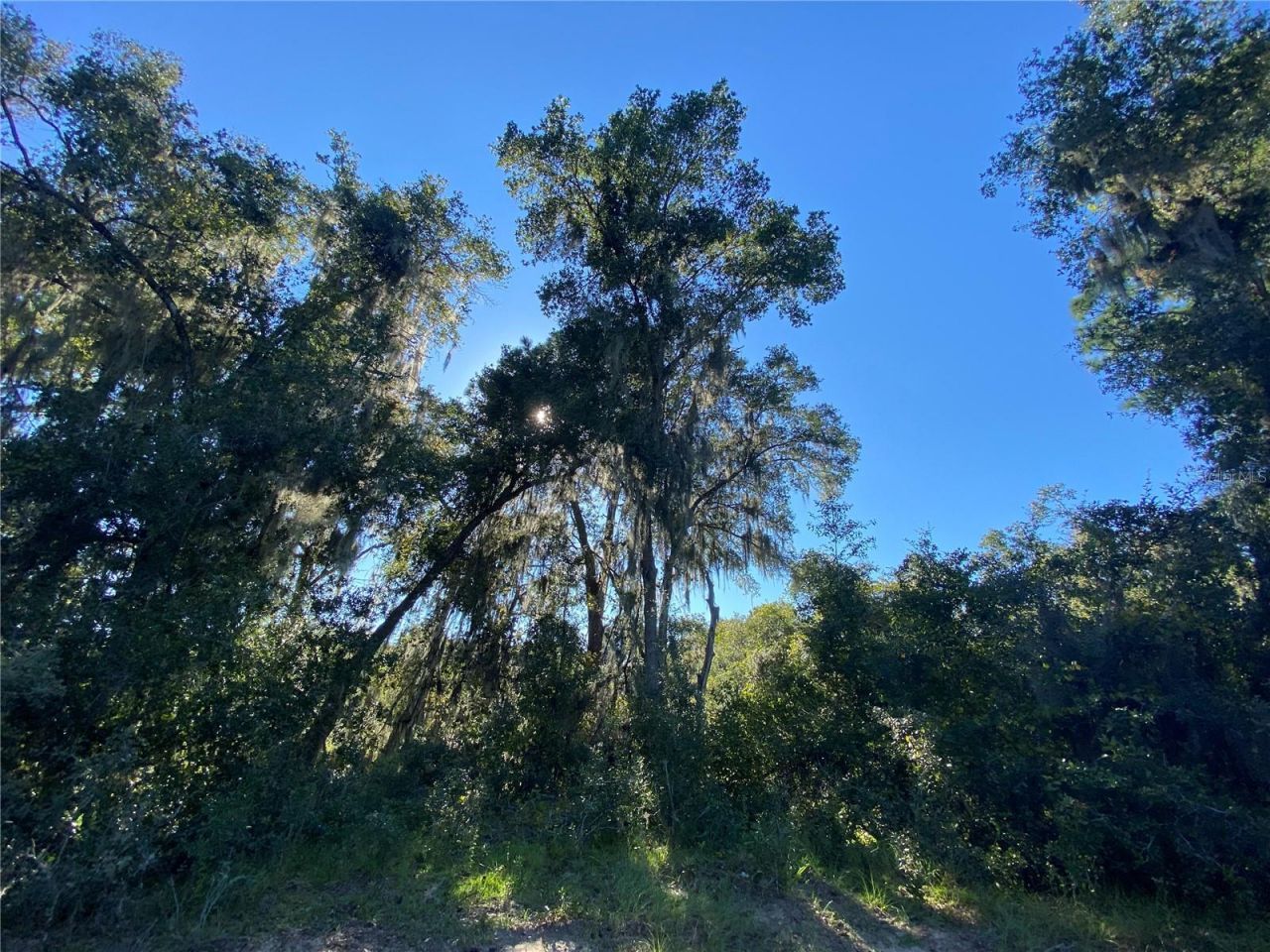 8701 S Fruition Avenue, Floral City, FL 34436 Photo