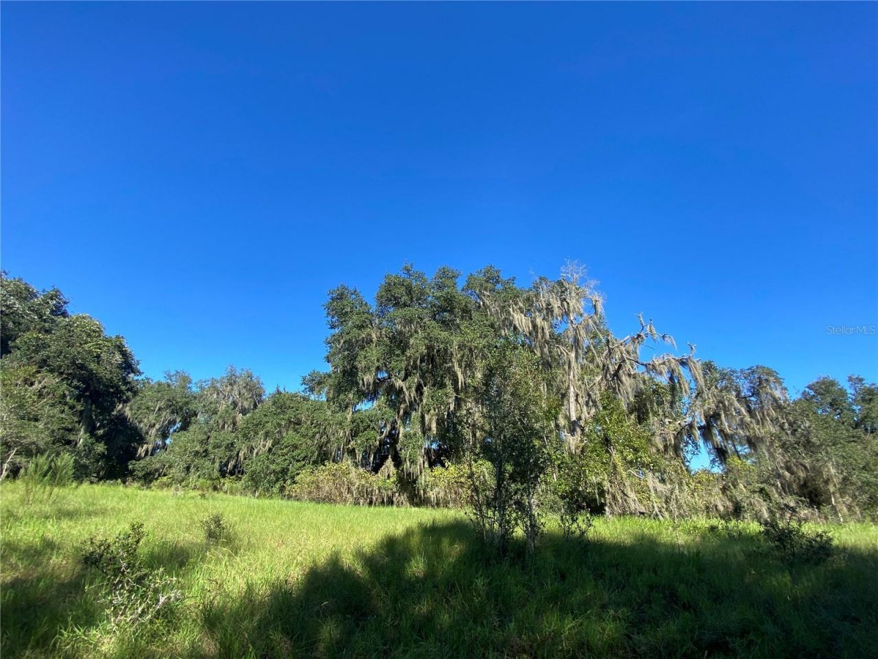 8701 S Fruition Avenue, Floral City, FL 34436 Photo