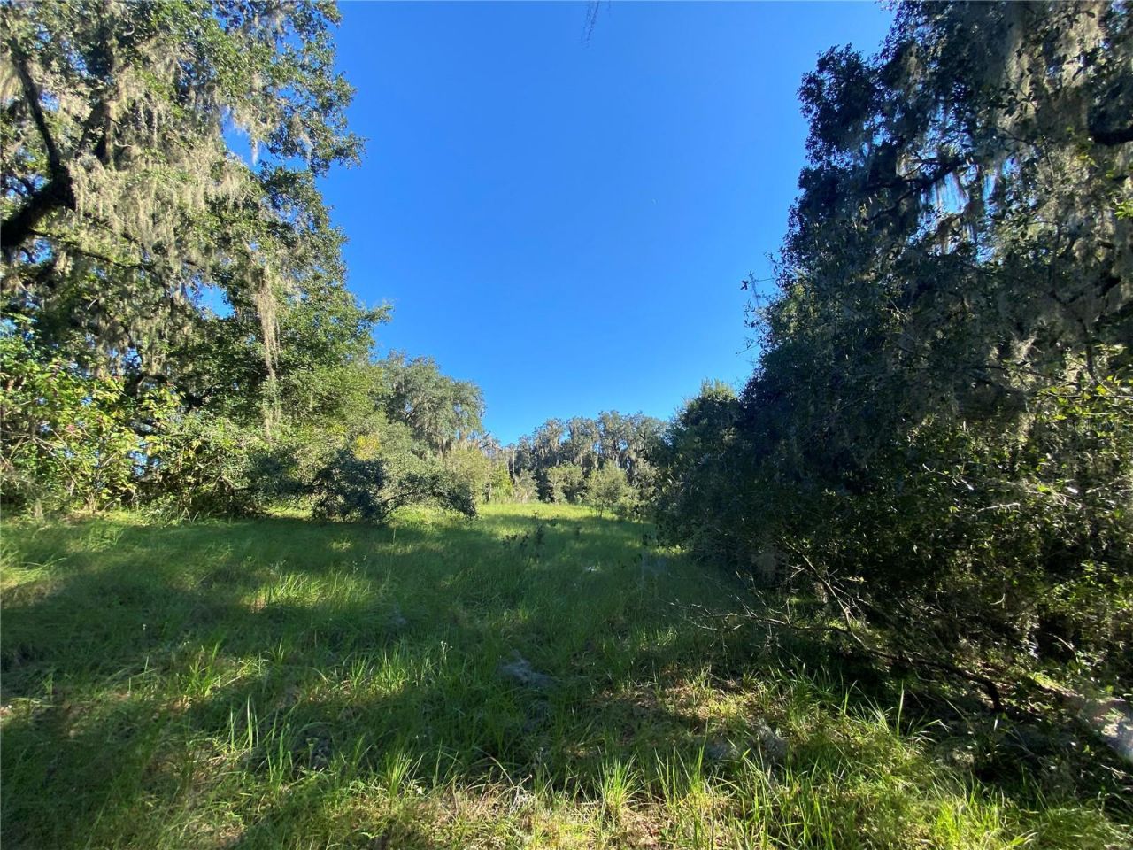 8701 S Fruition Avenue, Floral City, FL 34436 Photo