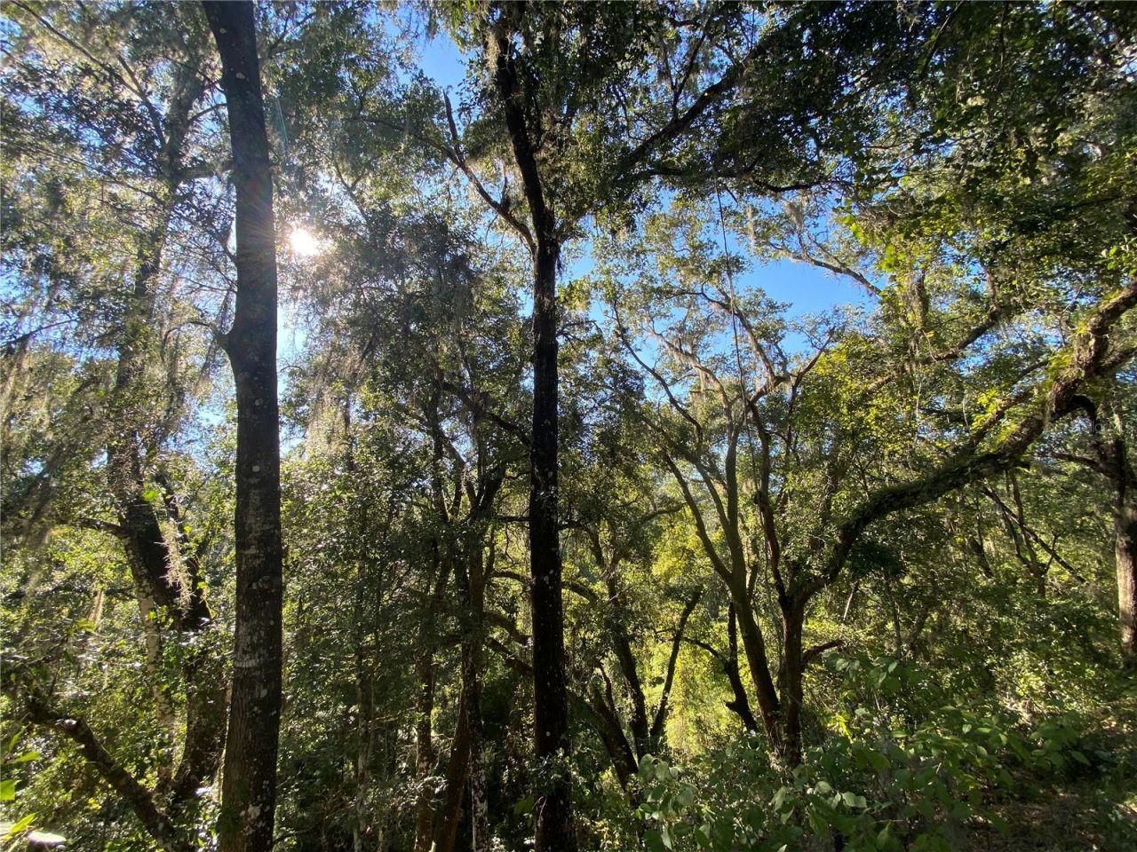 8701 S Fruition Avenue, Floral City, FL 34436 Photo