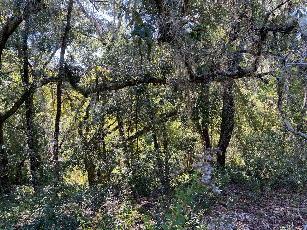 8701 S Fruition Avenue, Floral City, FL 34436 Photo