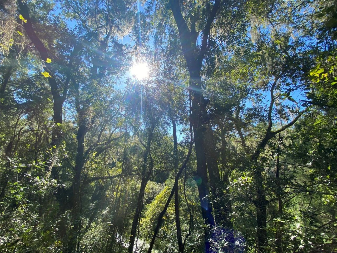 8701 S Fruition Avenue, Floral City, FL 34436 Photo