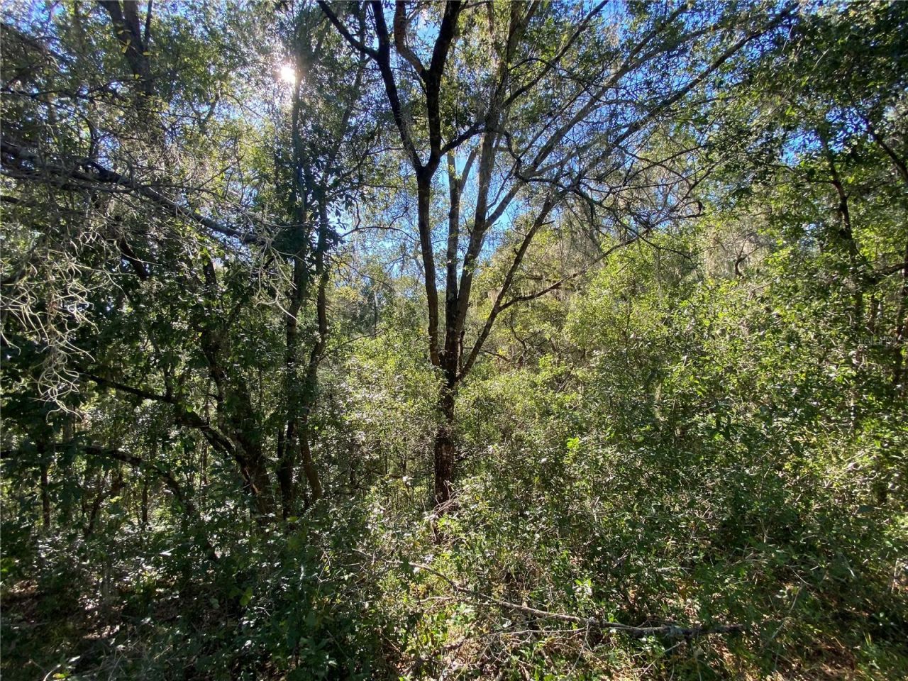 8701 S Fruition Avenue, Floral City, FL 34436 Photo