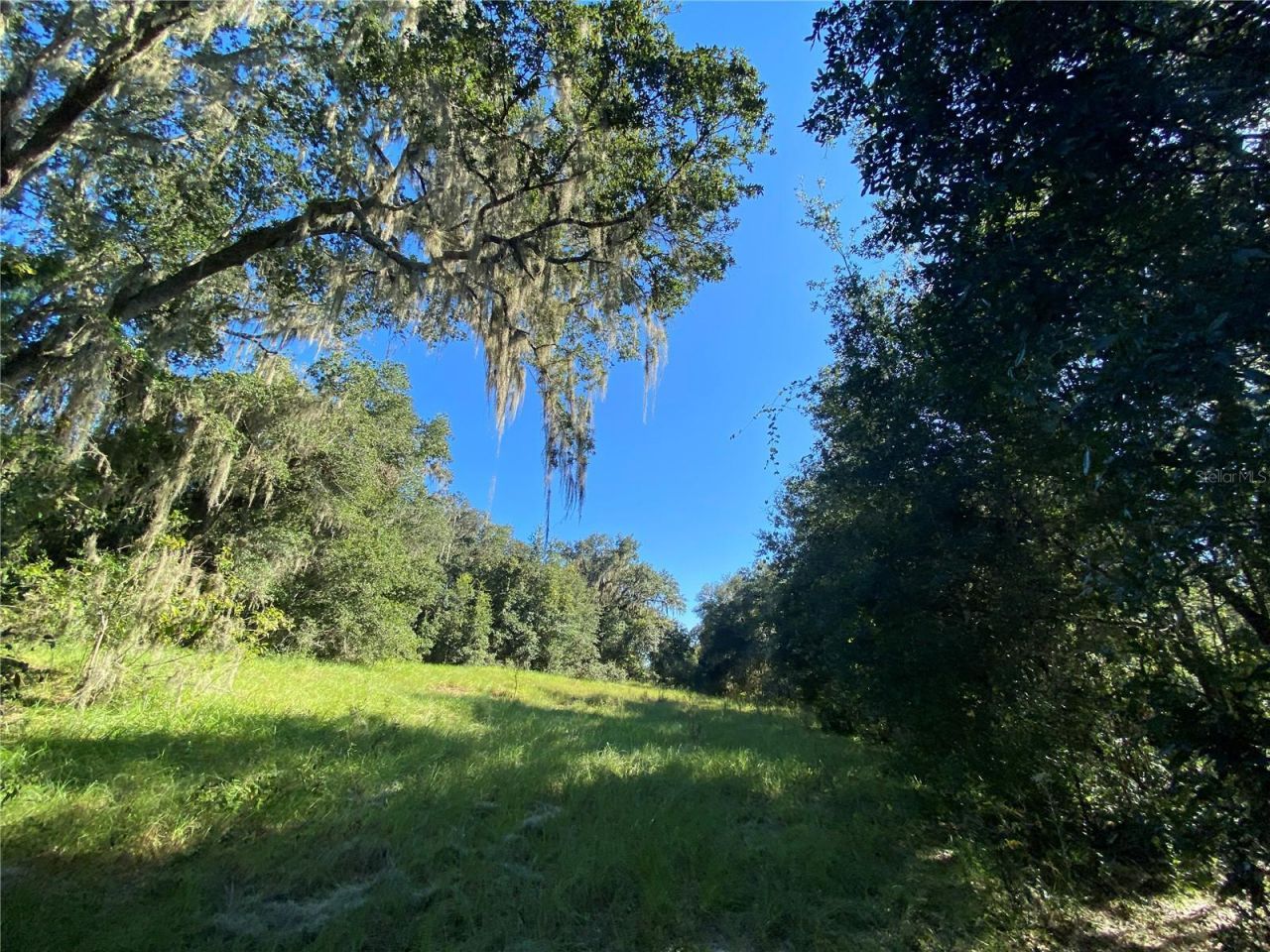 8701 S Fruition Avenue, Floral City, FL 34436 Photo