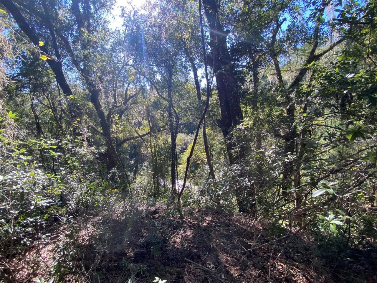 8701 S Fruition Avenue, Floral City, FL 34436 Photo