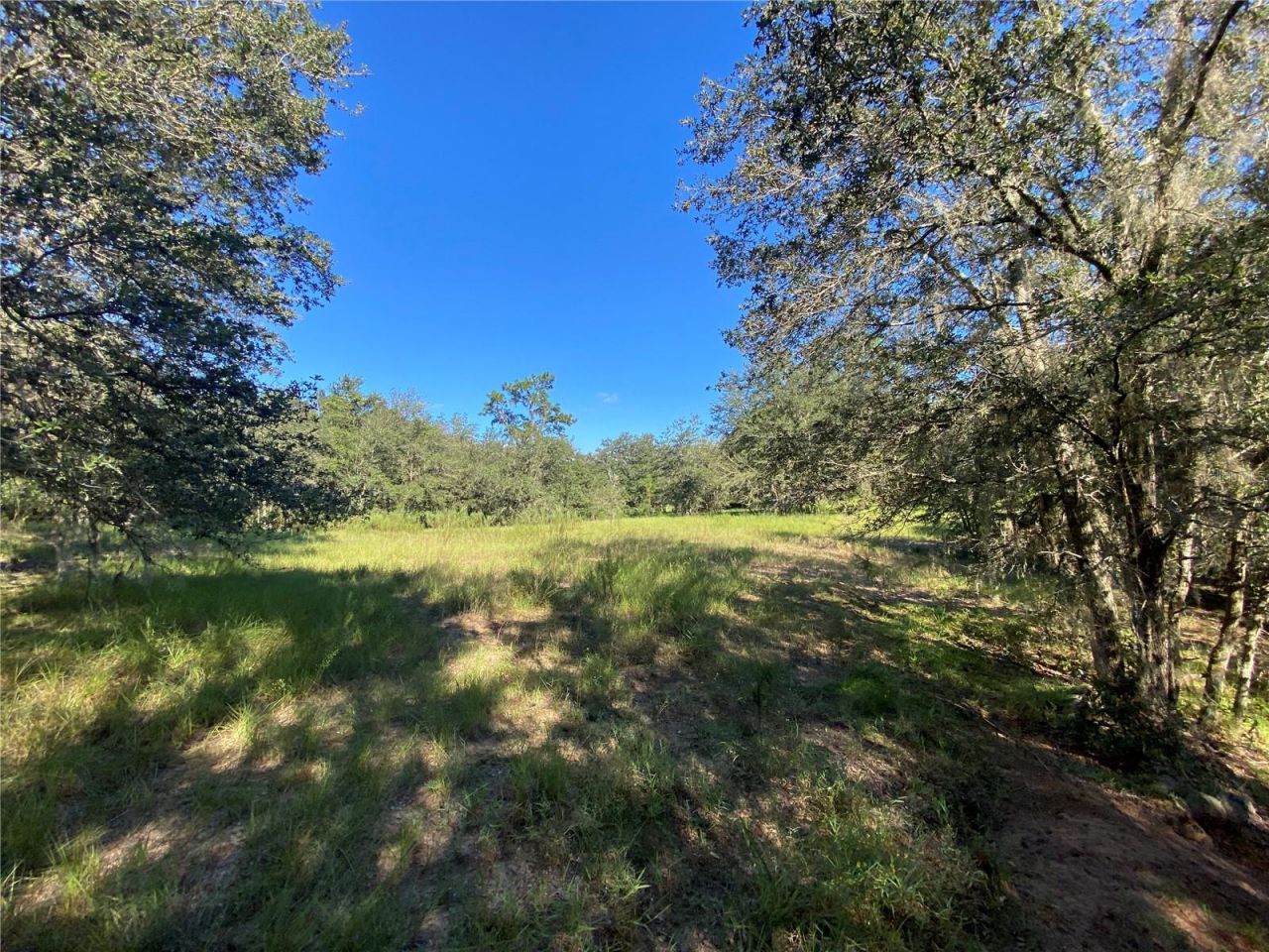 8701 S Fruition Avenue, Floral City, FL 34436 Photo