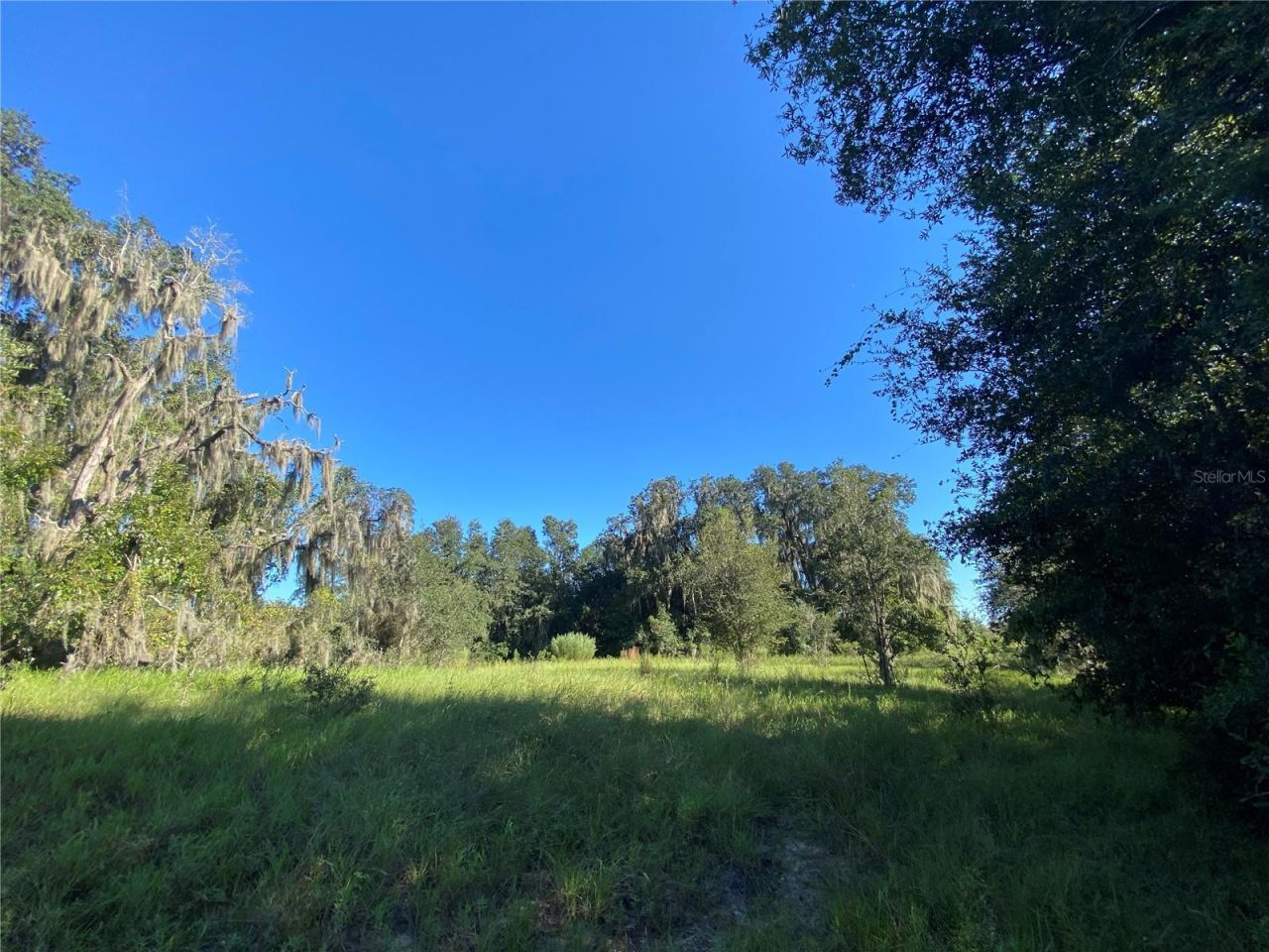 8701 S Fruition Avenue, Floral City, FL 34436 Photo