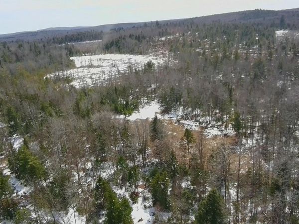 TBD Trafton Road, Parkman, ME 04443
