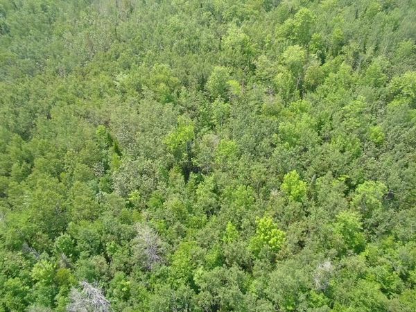 TBD Trafton Road, Parkman, ME 04443