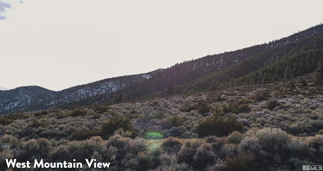 2527 Eagle Ridge Road, Genoa, NV 89411 Photo