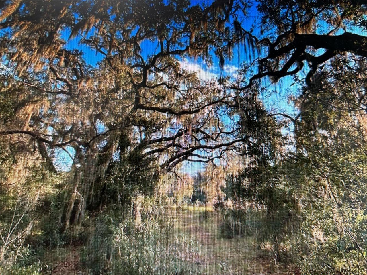 7373 E Savannah Court, Floral City, FL 34436 Photo