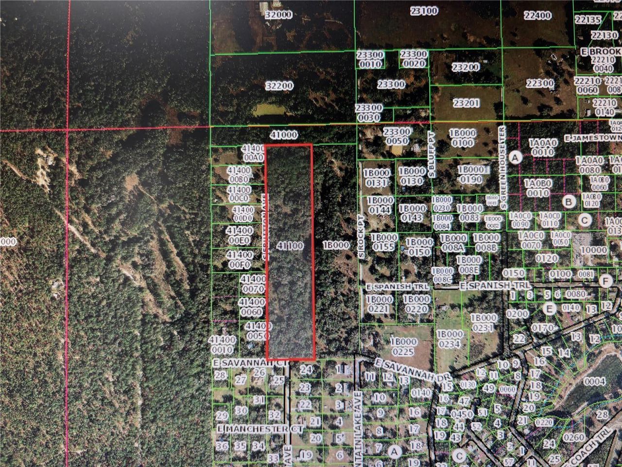 7373 E Savannah Court, Floral City, FL 34436 Photo