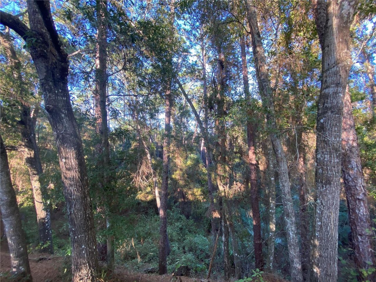 7373 E Savannah Court, Floral City, FL 34436 Photo