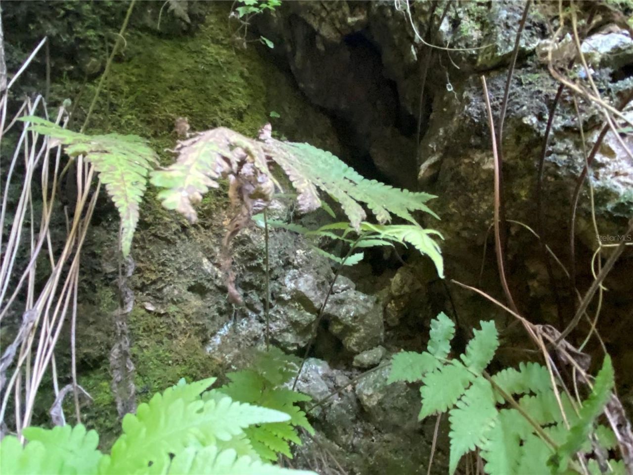 7373 E Savannah Court, Floral City, FL 34436 Photo