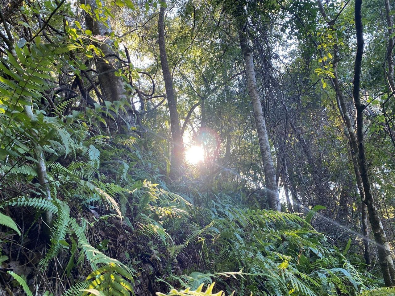 7373 E Savannah Court, Floral City, FL 34436 Photo