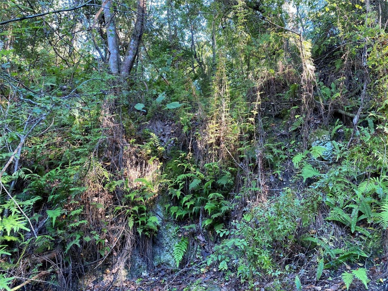 7373 E Savannah Court, Floral City, FL 34436 Photo