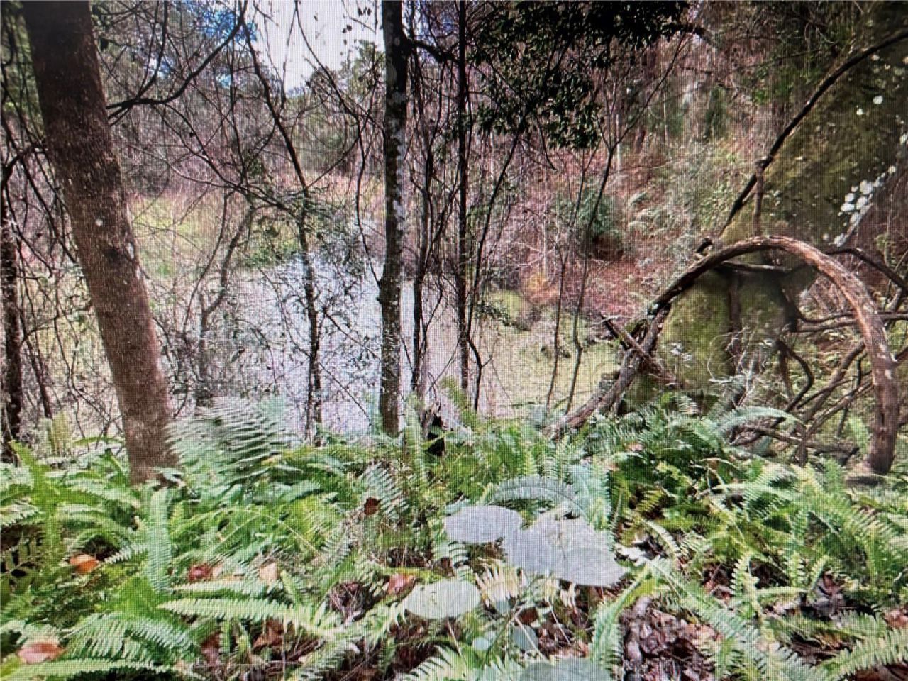 7373 E Savannah Court, Floral City, FL 34436 Photo