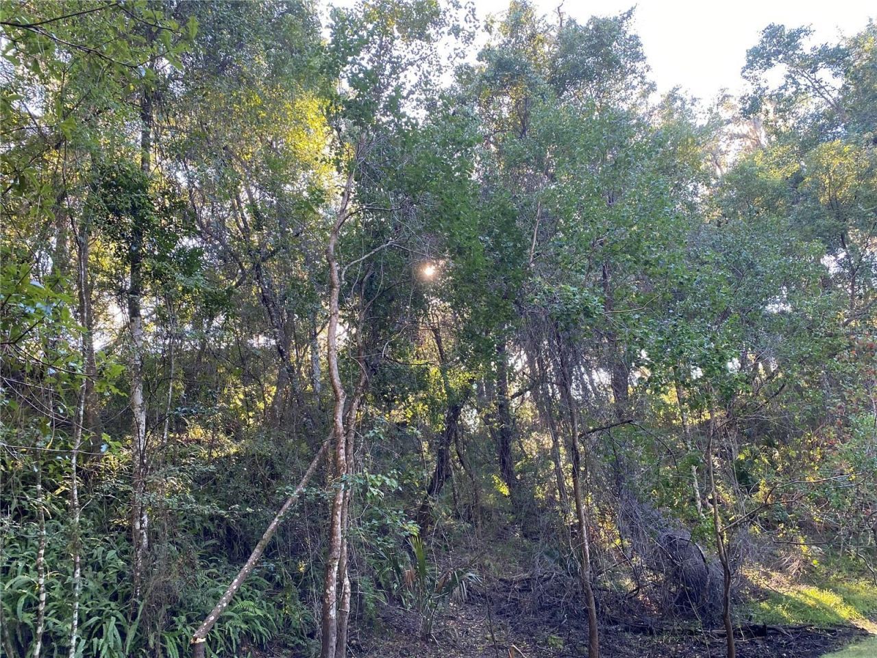 7373 E Savannah Court, Floral City, FL 34436 Photo