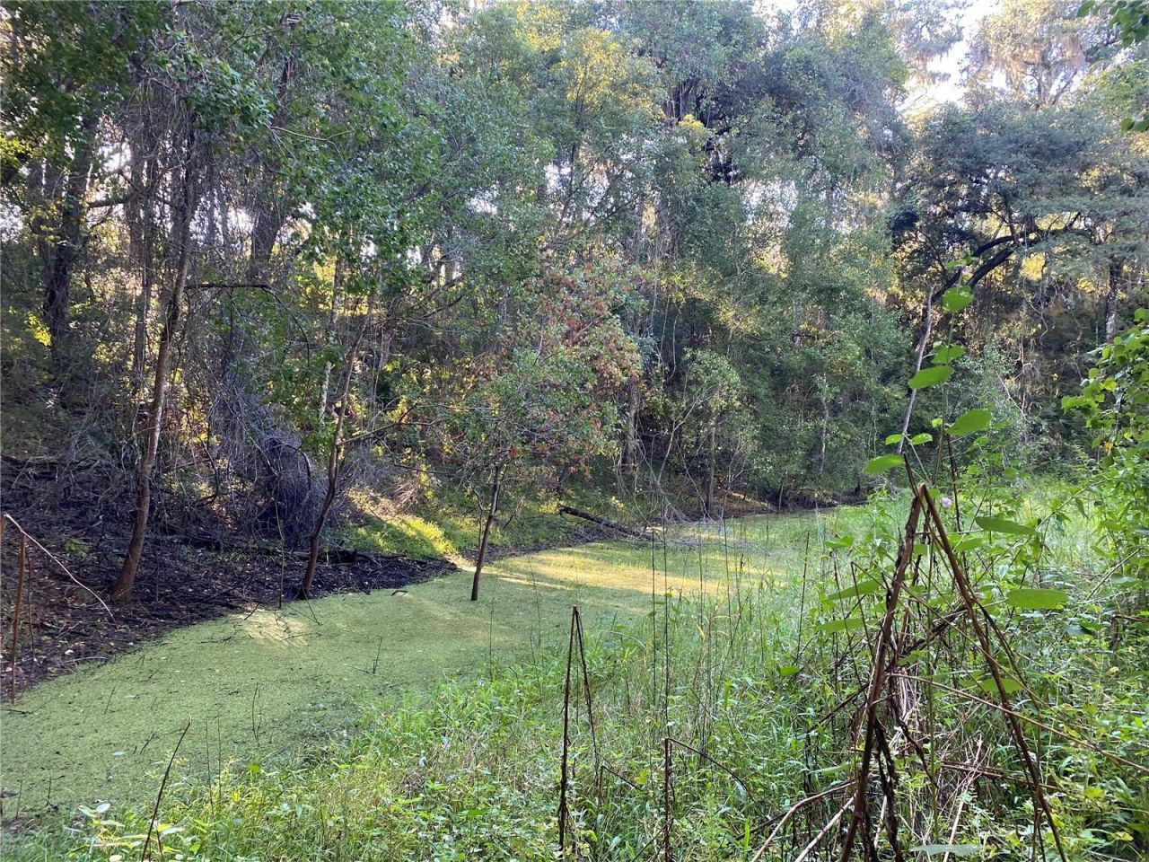 7373 E Savannah Court, Floral City, FL 34436 Photo