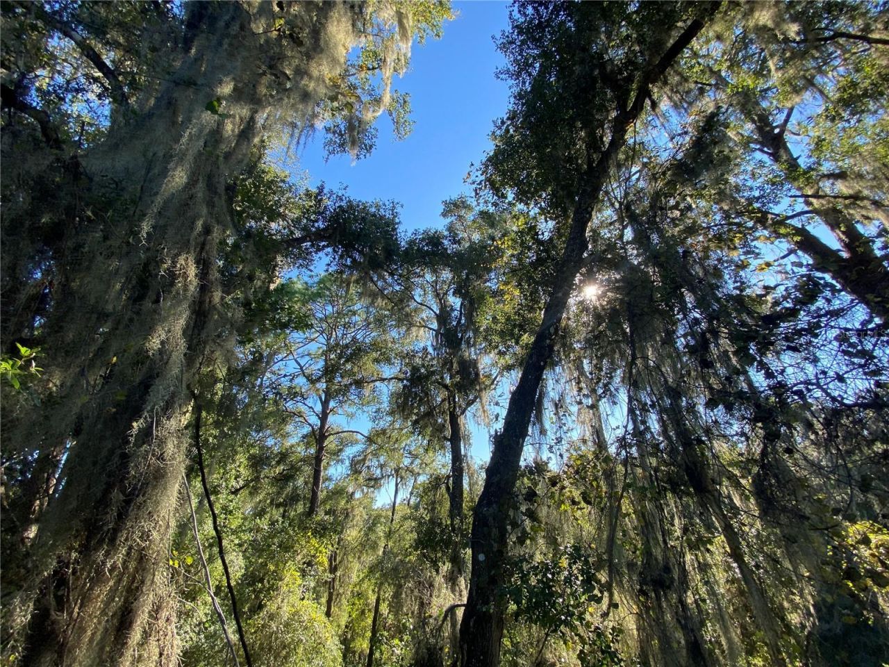 7373 E Savannah Court, Floral City, FL 34436 Photo