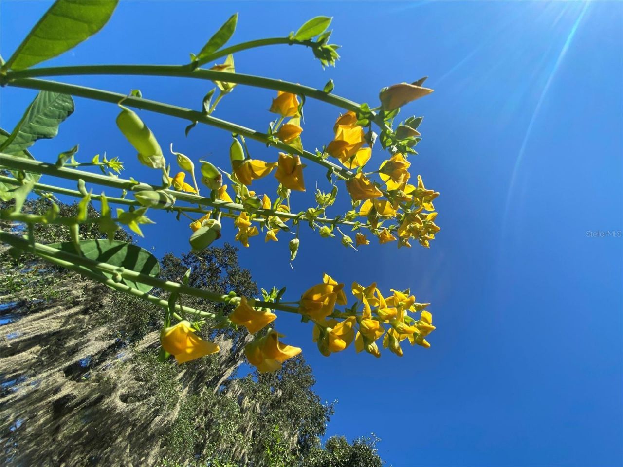 7373 E Savannah Court, Floral City, FL 34436 Photo