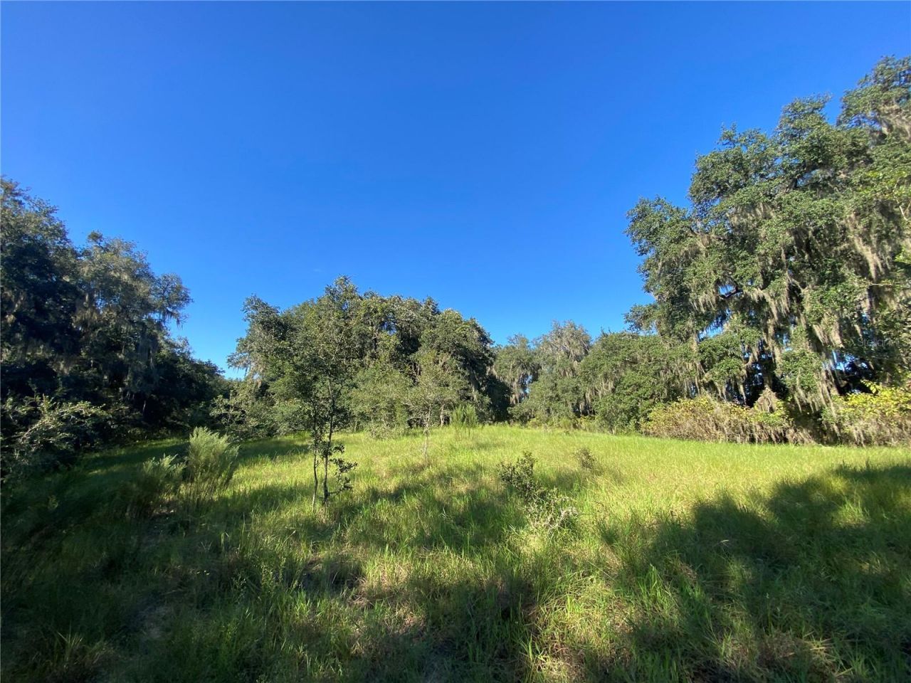 7373 E Savannah Court, Floral City, FL 34436 Photo