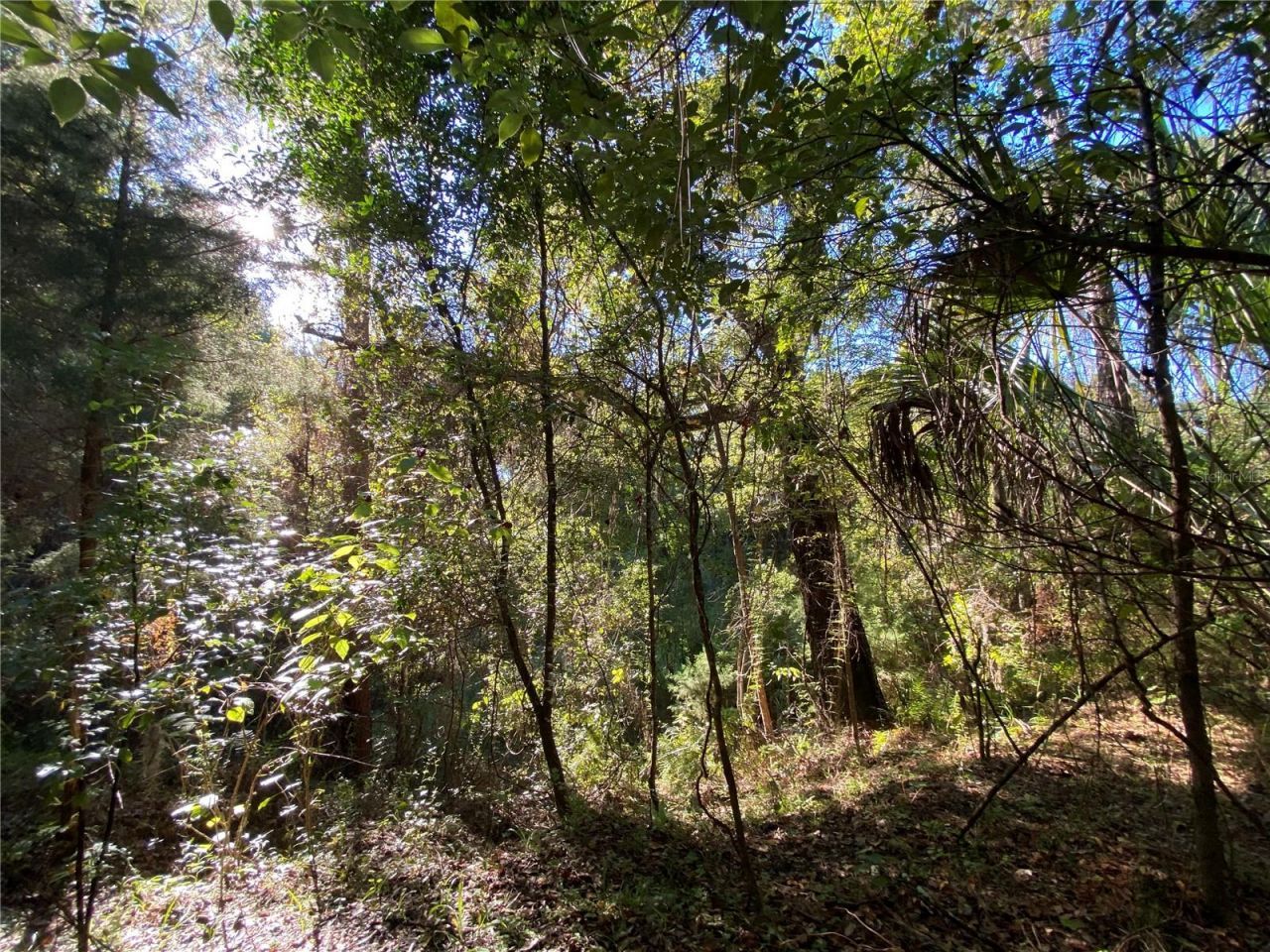 7373 E Savannah Court, Floral City, FL 34436 Photo