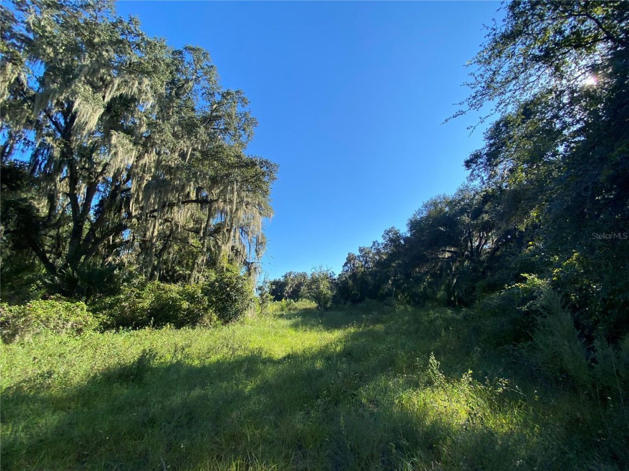 7373 E Savannah Court, Floral City, FL 34436 Photo